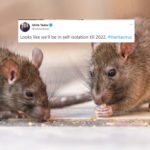 Another pandemic? Fears grow as China reports case of Hantavirus