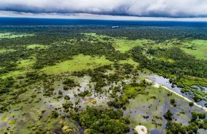 Indonesia’s Carbon Market Launch Faces Credibility Hurdles