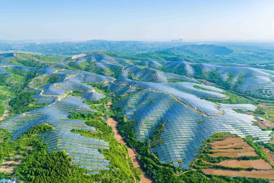 Brunei Eyes Regional Leadership in Blue Carbon Credits