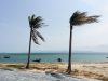 NHC Issues Early 2026 Hurricane Outlooks on May 15 National Hurricane Center meteorologists study satellite monitors showing early Atlantic storm systems weeks before the June 1 season start.