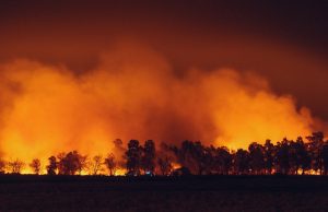 Maui Wildfire Death Toll Hits 114, Search Teams Comb Ash Cadaver dogs and search crews sift through ash-covered rubble in fire-ravaged Lāhainā as smoke still rises in the background.