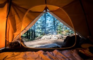 Alberta Windstorm Collapses Retreat Tent, Killing 1 Emergency crews work amid collapsed tent fabric and poles at a Buddhist retreat in Busby, Alberta, after a sudden windstorm caused the structure to fail.