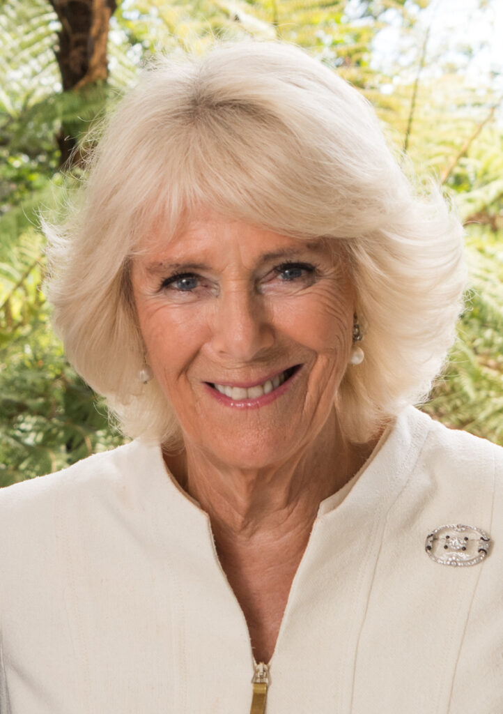 Camilla, Duchess of Cornwall, stands in a formal gown at a royal event, representing the British monarchy.