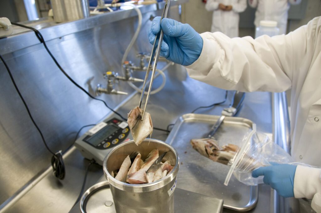 Food Inspection Lab