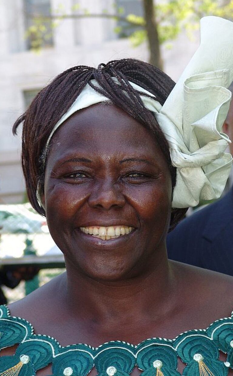 Wangari Maathai: A Career Retrospective