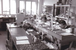 Zenith CEO Warns of 100 Job Cuts as LVMH Brand Shifts to High-End Niche
